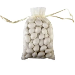 Celebrate Itâ„¢ Occasionsâ„¢ Organza Favor Bag, Large