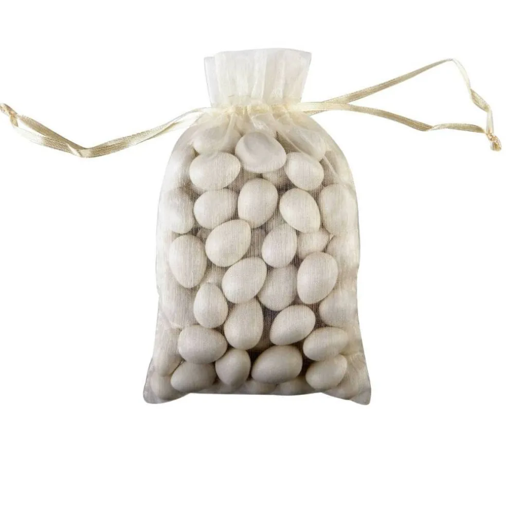 Celebrate It™ Occasions™ Organza Favor Bag, Large