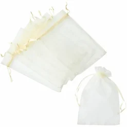 Celebrate It™ Occasions™ Organza Favor Bag, Large