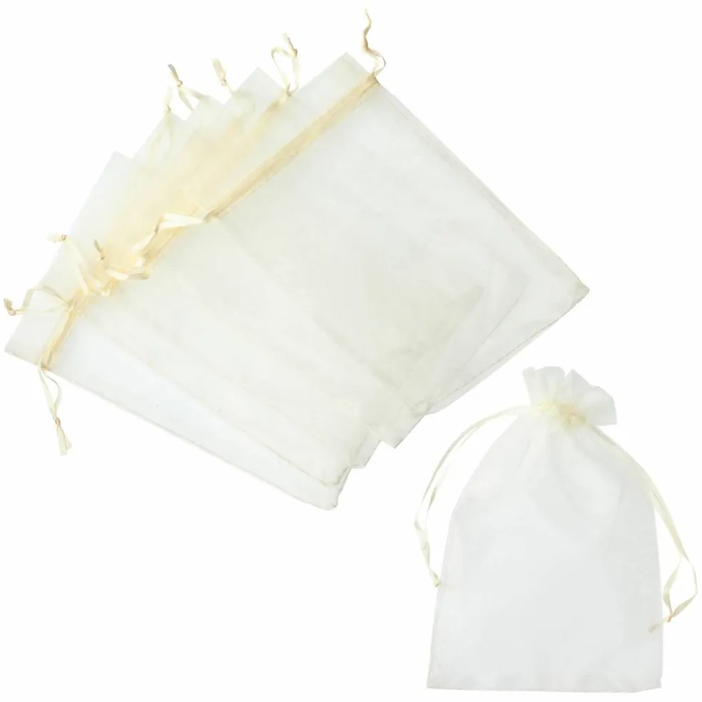 Celebrate It™ Occasions™ Organza Favor Bag, Large
