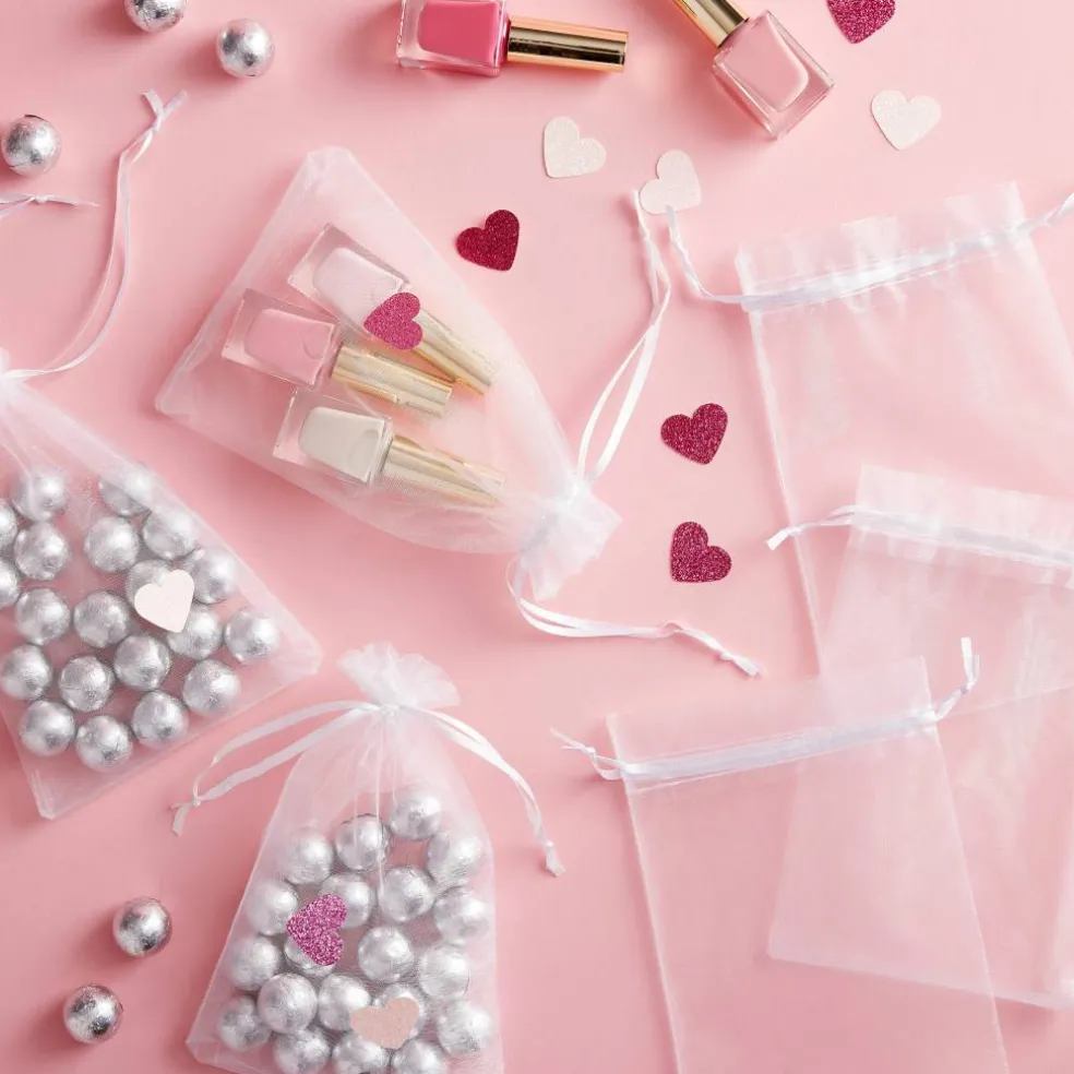 Celebrate It™ Occasions™ Organza Favor Bag, Large