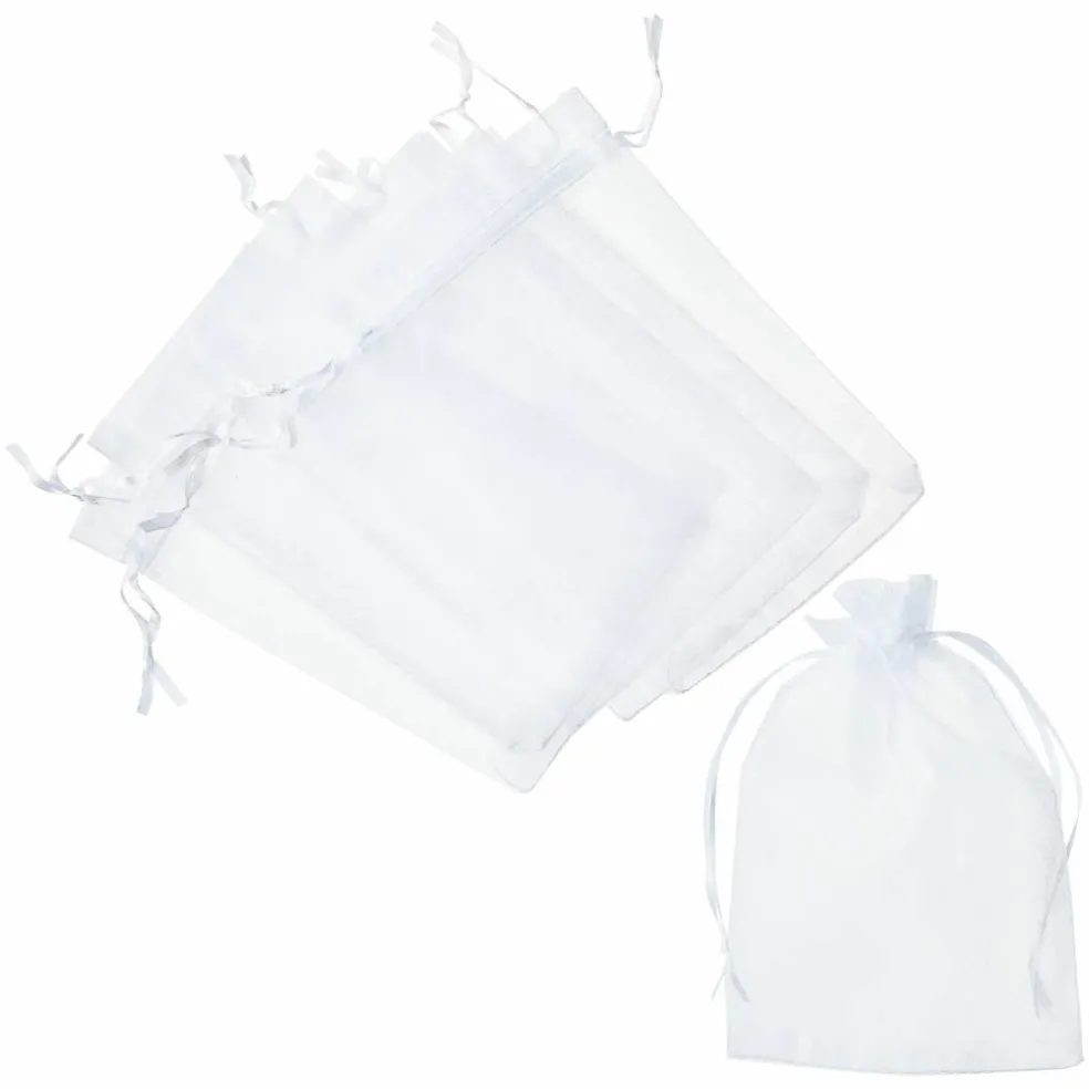 Celebrate It™ Occasions™ Organza Favor Bag, Large