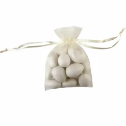 Celebrate Itâ„¢ Occasionsâ„¢ Organza Favor Bag, Small
