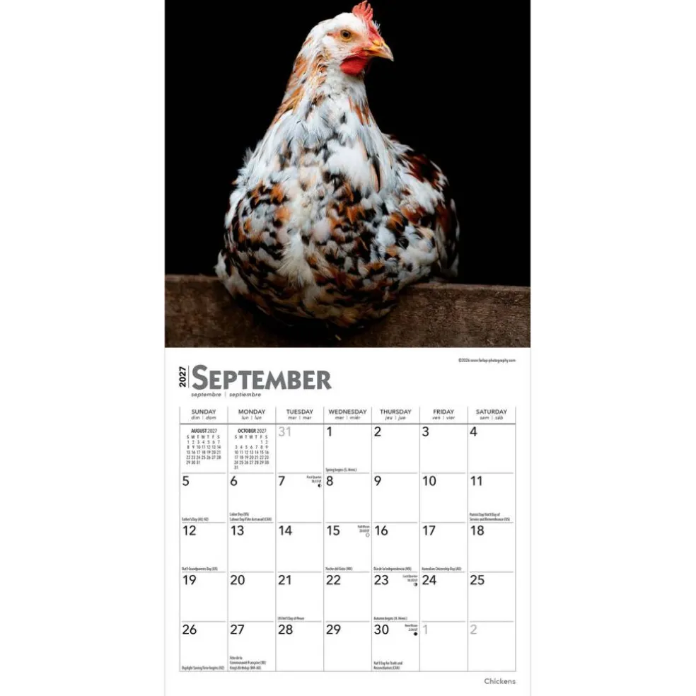 Chickens | 2027 7 x 14 Inch (Hanging) Monthly Mini Wall Calendar