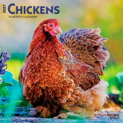 Chickens | 2027 7 x 14 Inch (Hanging) Monthly Mini Wall Calendar
