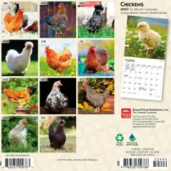 Chickens | 2027 7 x 14 Inch (Hanging) Monthly Mini Wall Calendar