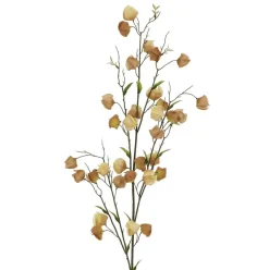 41" Chinese Lantern Stem by Ashland®