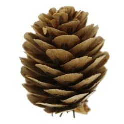 Classic Pinecone, Pumpkin, Berry & Maple Leaves Decorative Components by Ashland®