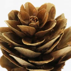 Classic Pinecone, Pumpkin, Berry & Maple Leaves Decorative Components by Ashland®