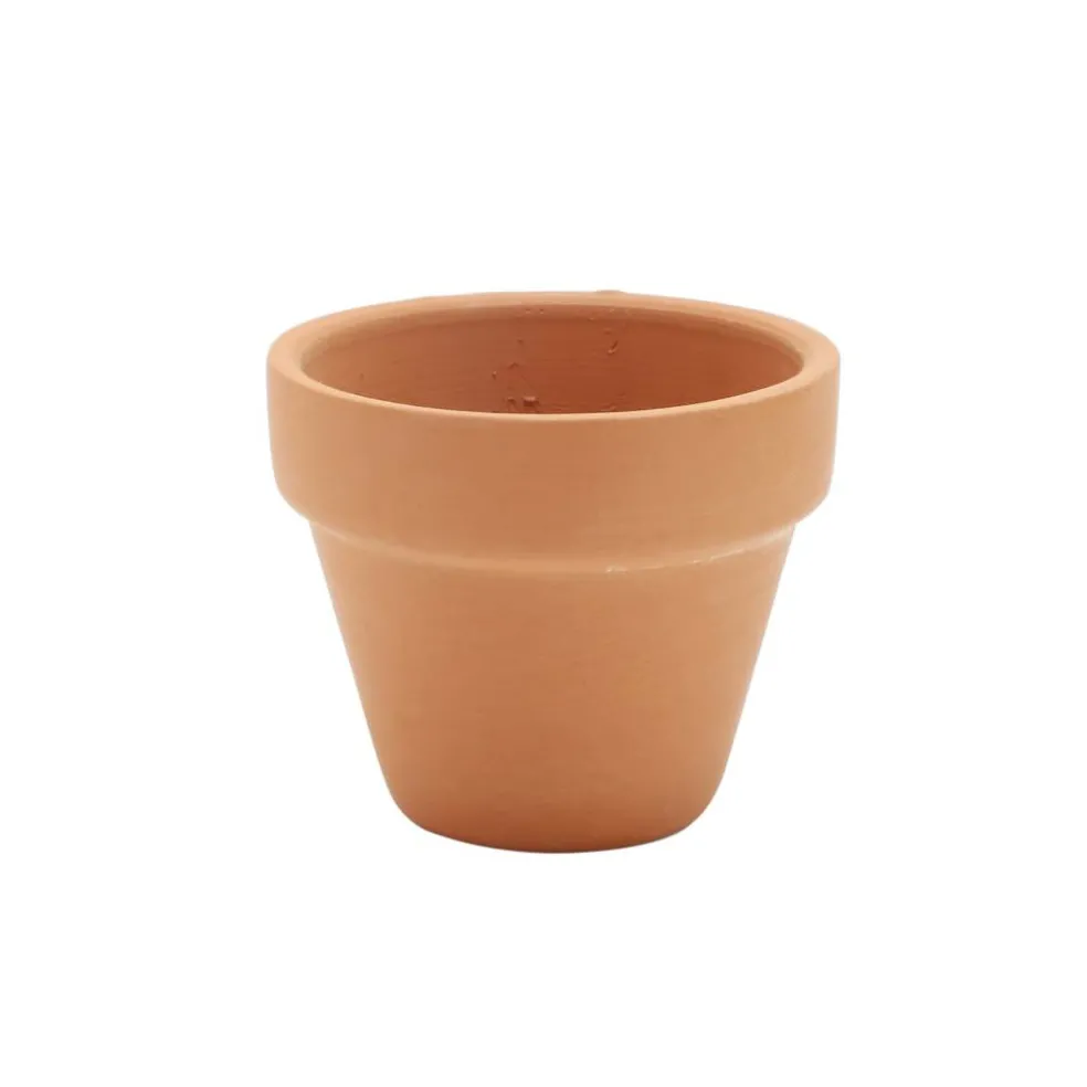 Clay Pot by Ashland®