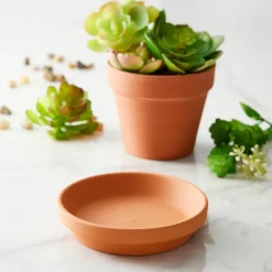 Clay Saucer by Ashland™