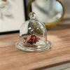 Clear Glass Cloche Dome Display Cover Cake Dessert Candle Tabletop Decor