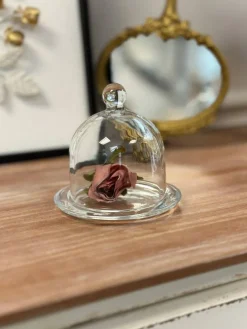 Clear Glass Cloche Dome Display Cover Cake Dessert Candle Tabletop Decor