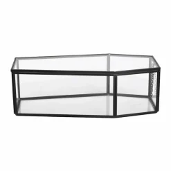 Clear Glass Terrarium Coffin with Lid by Ashland®