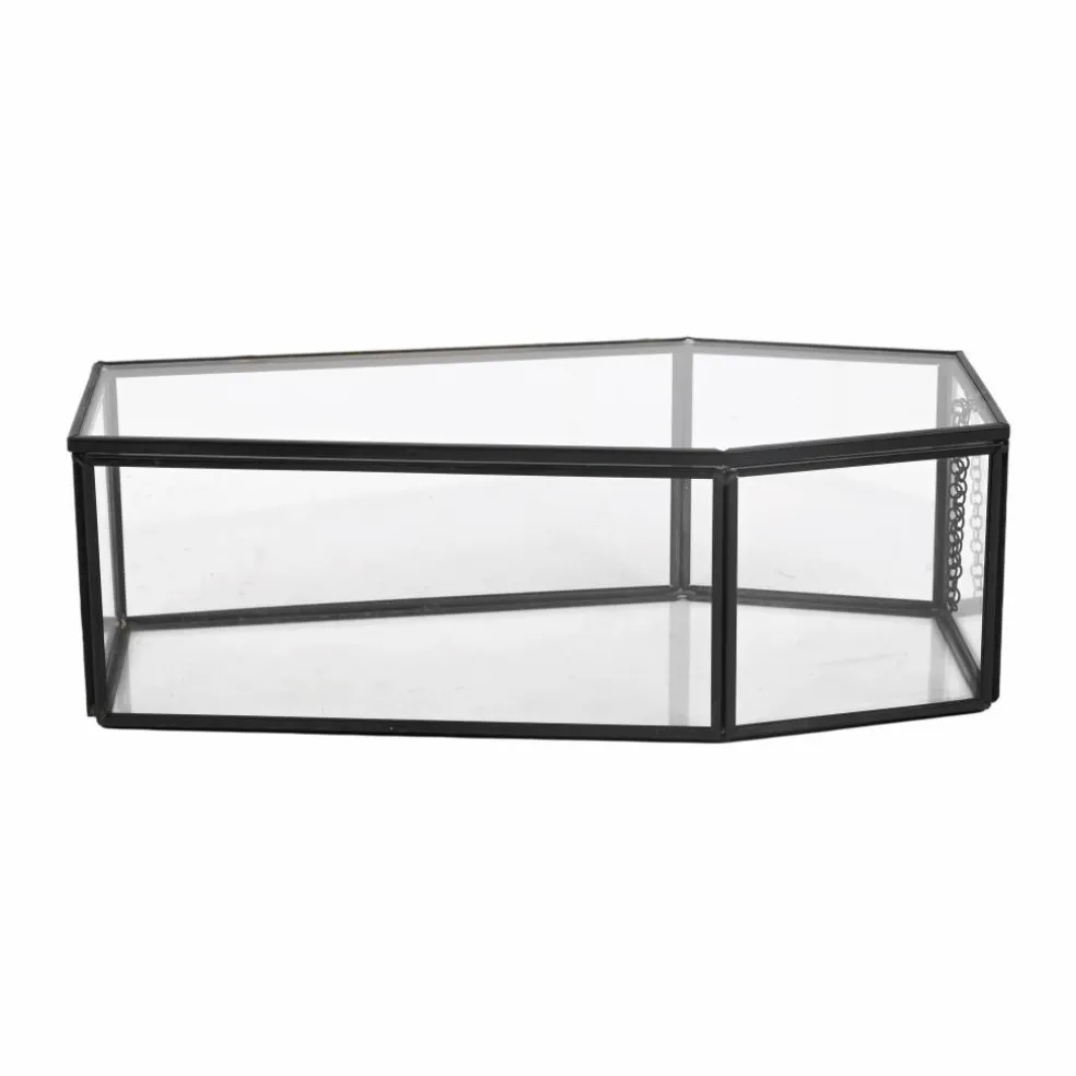 Clear Glass Terrarium Coffin with Lid by Ashland®