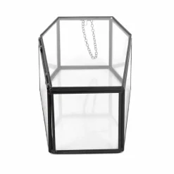 Clear Glass Terrarium Coffin with Lid by Ashland®