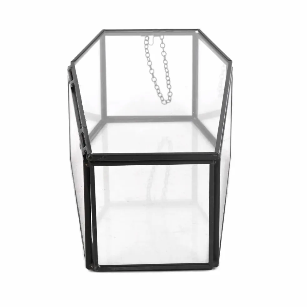 Clear Glass Terrarium Coffin with Lid by Ashland®