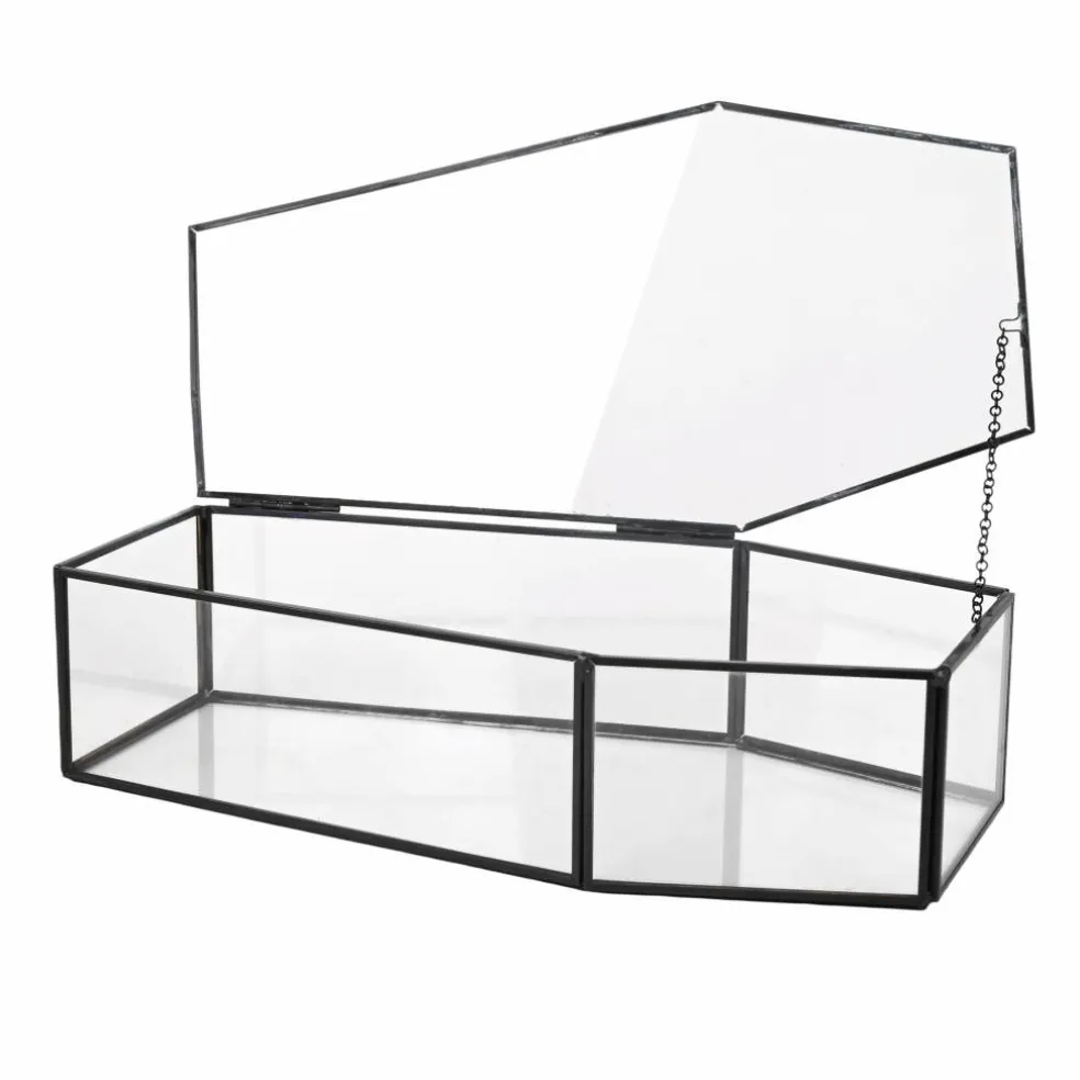 Clear Glass Terrarium Coffin with Lid by Ashland®