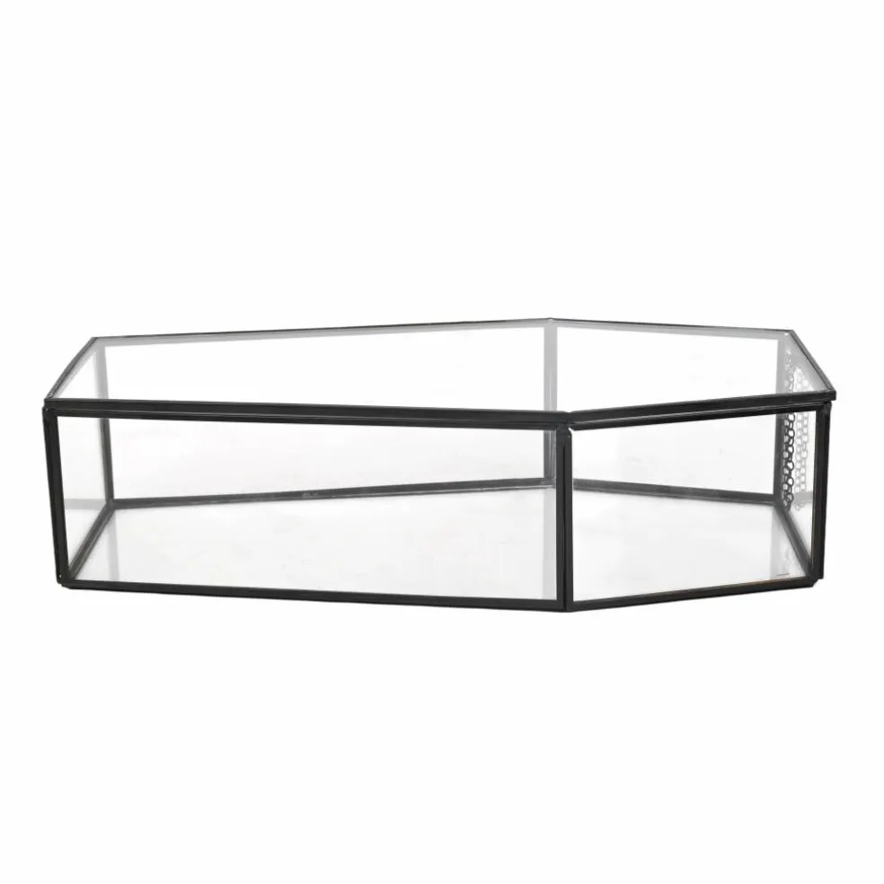 Clear Glass Terrarium Coffin with Lid by Ashland®