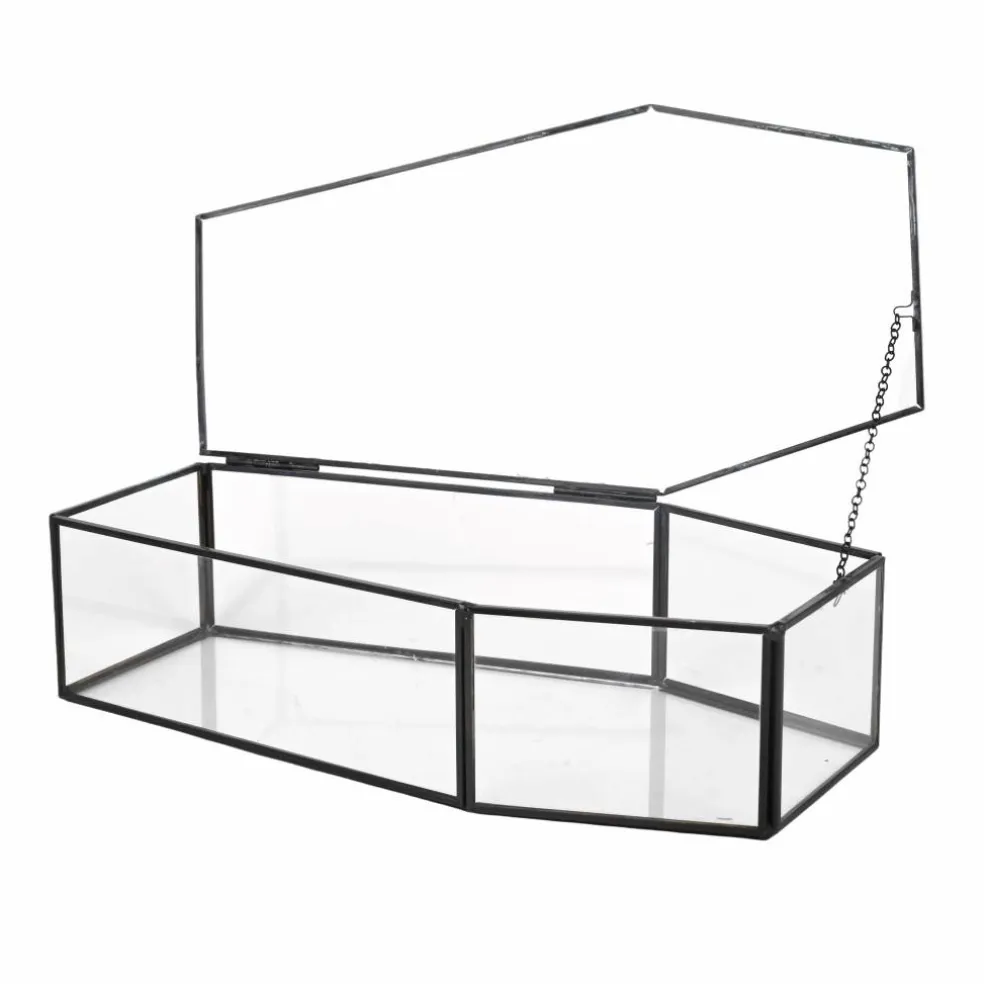 Clear Glass Terrarium Coffin with Lid by Ashland®