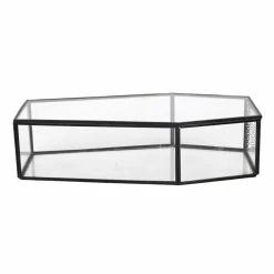 Clear Glass Terrarium Coffin with Lid by Ashland®