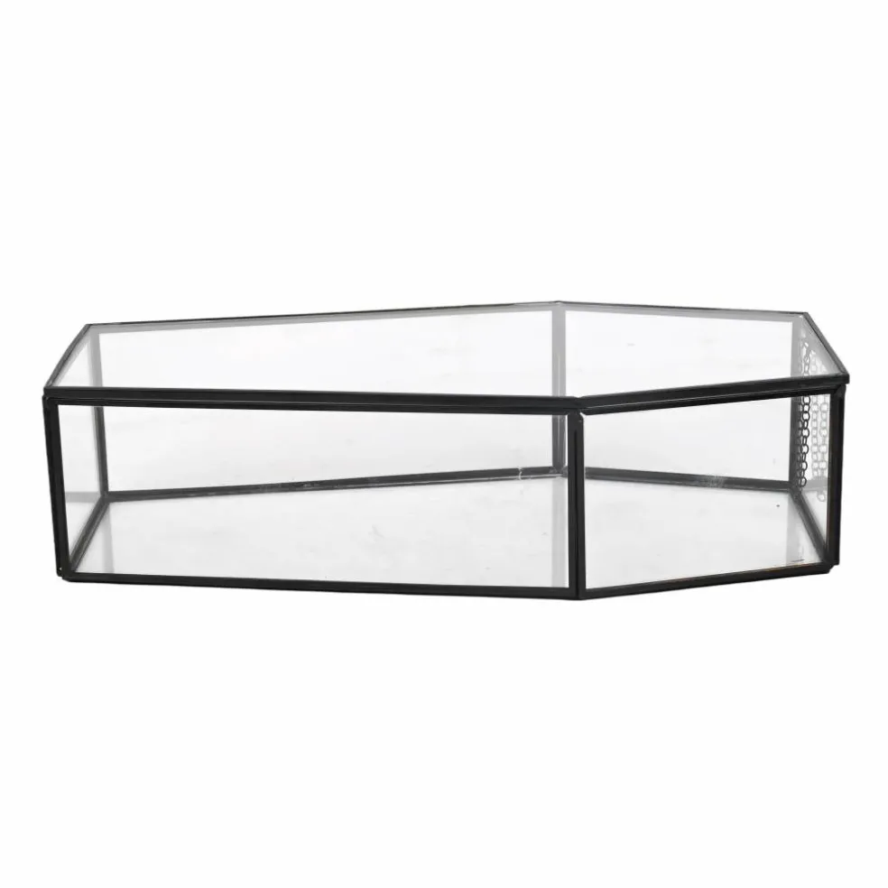 Clear Glass Terrarium Coffin with Lid by Ashland®
