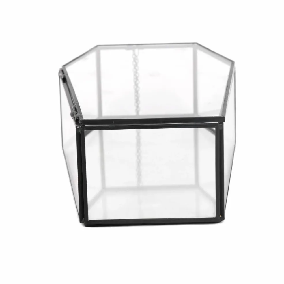 Clear Glass Terrarium Coffin with Lid by Ashland®