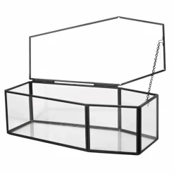 Clear Glass Terrarium Coffin with Lid by Ashland®