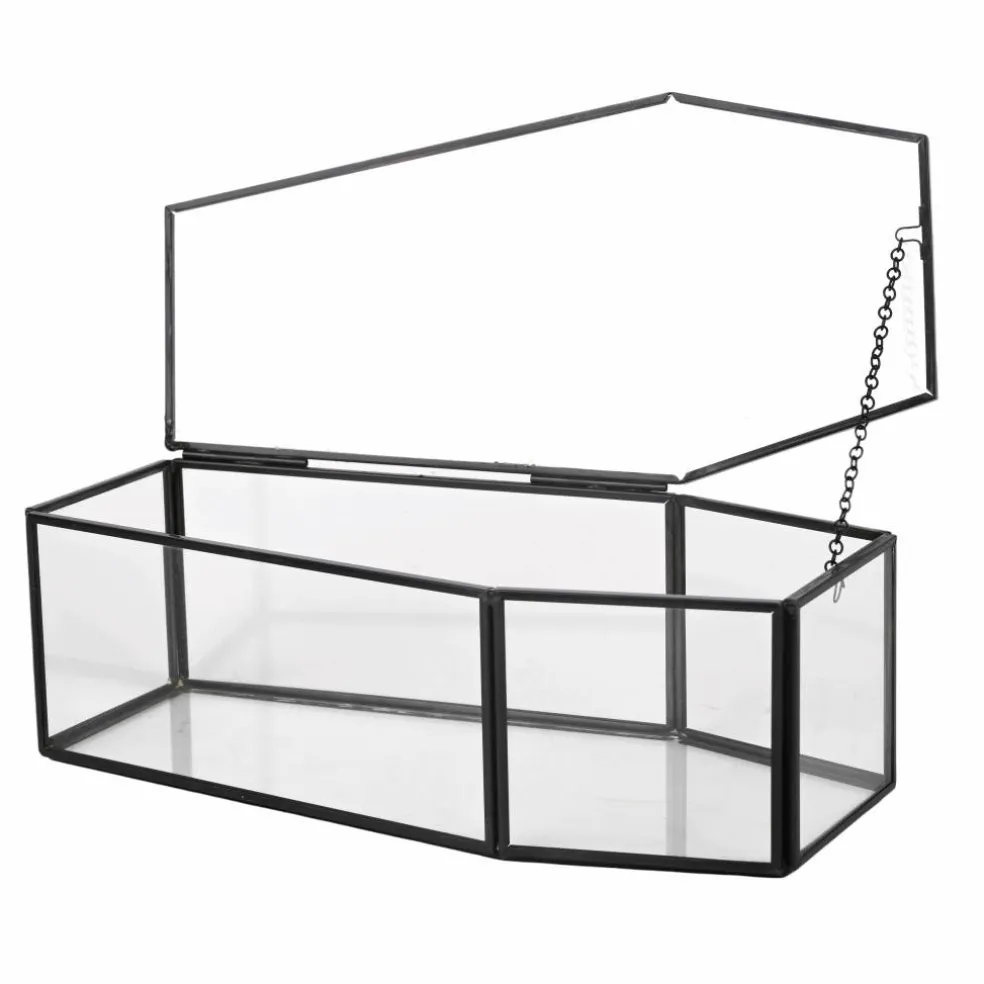 Clear Glass Terrarium Coffin with Lid by Ashland®