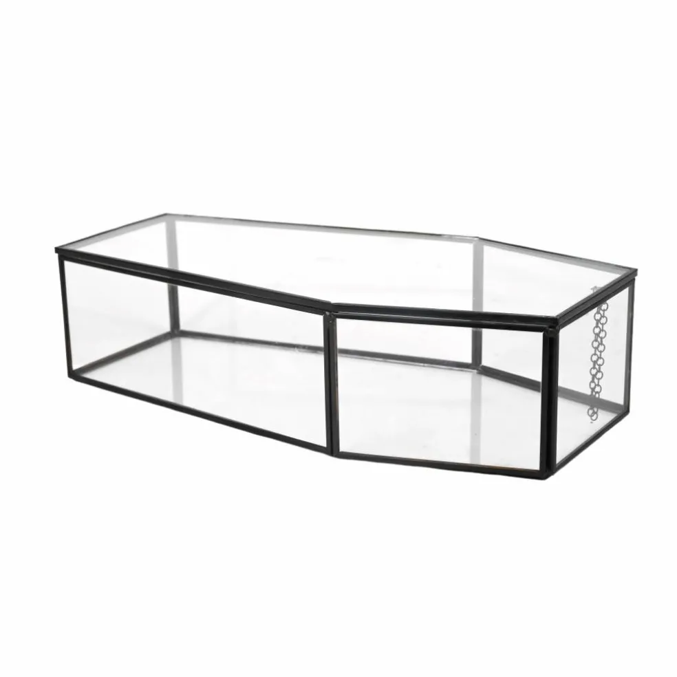 Clear Glass Terrarium Coffin with Lid by Ashland®
