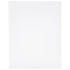 Clear Plastic Canvases by Loops & Threads®