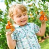 7-Cluster Artificial Mini Oranges – Realistic Faux Tangerines for Kitchen, Dining Table, Fruit Bowls, Party, and Home Décor