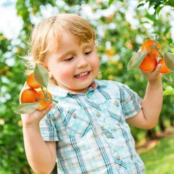 7-Cluster Artificial Mini Oranges – Realistic Faux Tangerines for Kitchen, Dining Table, Fruit Bowls, Party, and Home Décor