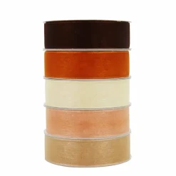 5 Color Sheer Value Pack Ribbon by Celebrate It®