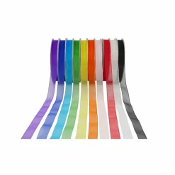 10 Color Sheer Value Pack Ribbon by Celebrate It®
