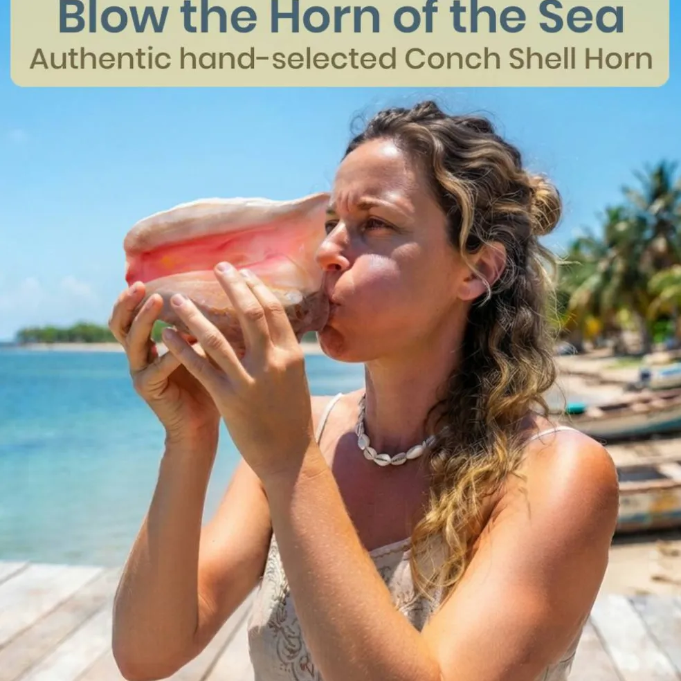 Conch Shell Horn 1 Conch Shell Horn Seashell 6-7" for Home and Decor