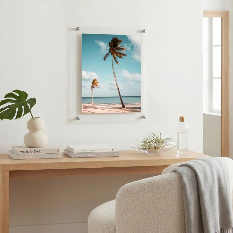 Cool Modern Frames Clear Acrylic Float Frame with Silver Hardware