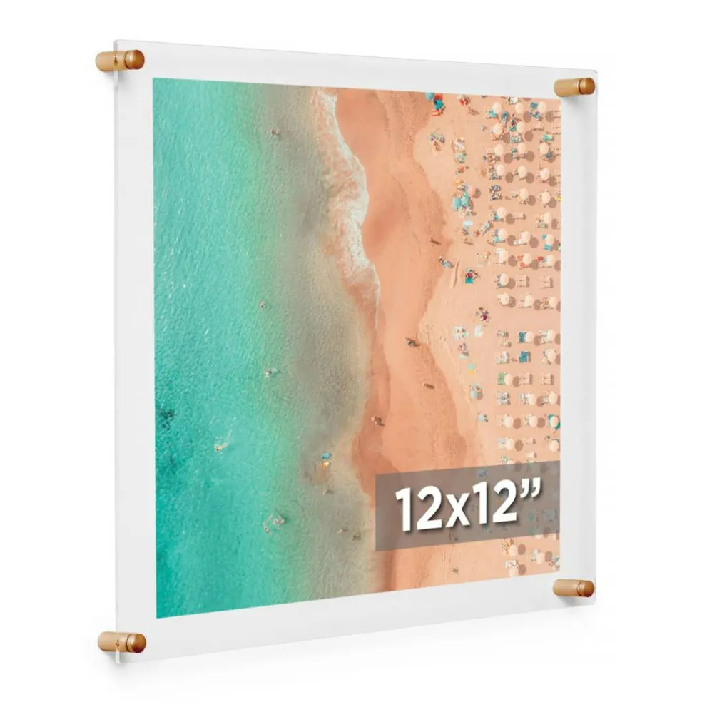 Cool Modern Frames Clear Acrylic Float Frame with Gold Hardware
