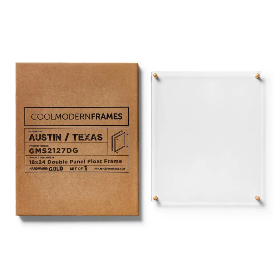 Cool Modern Frames Clear Acrylic Float Frame with Gold Hardware