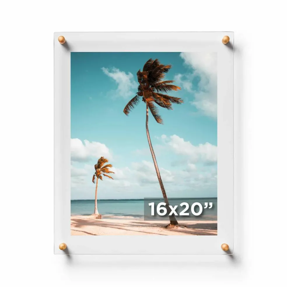 Cool Modern Frames Clear Acrylic Float Frame with Gold Hardware