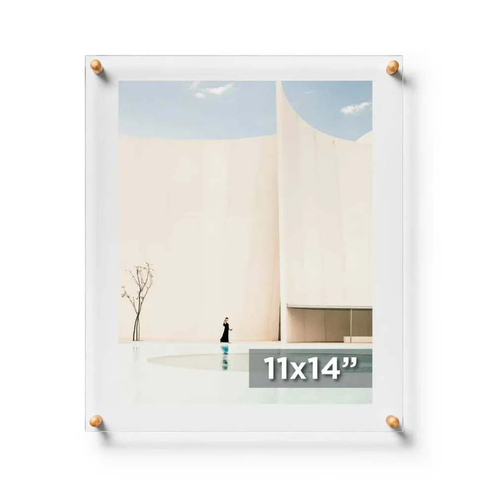 Cool Modern Frames Clear Acrylic Float Frame with Gold Hardware