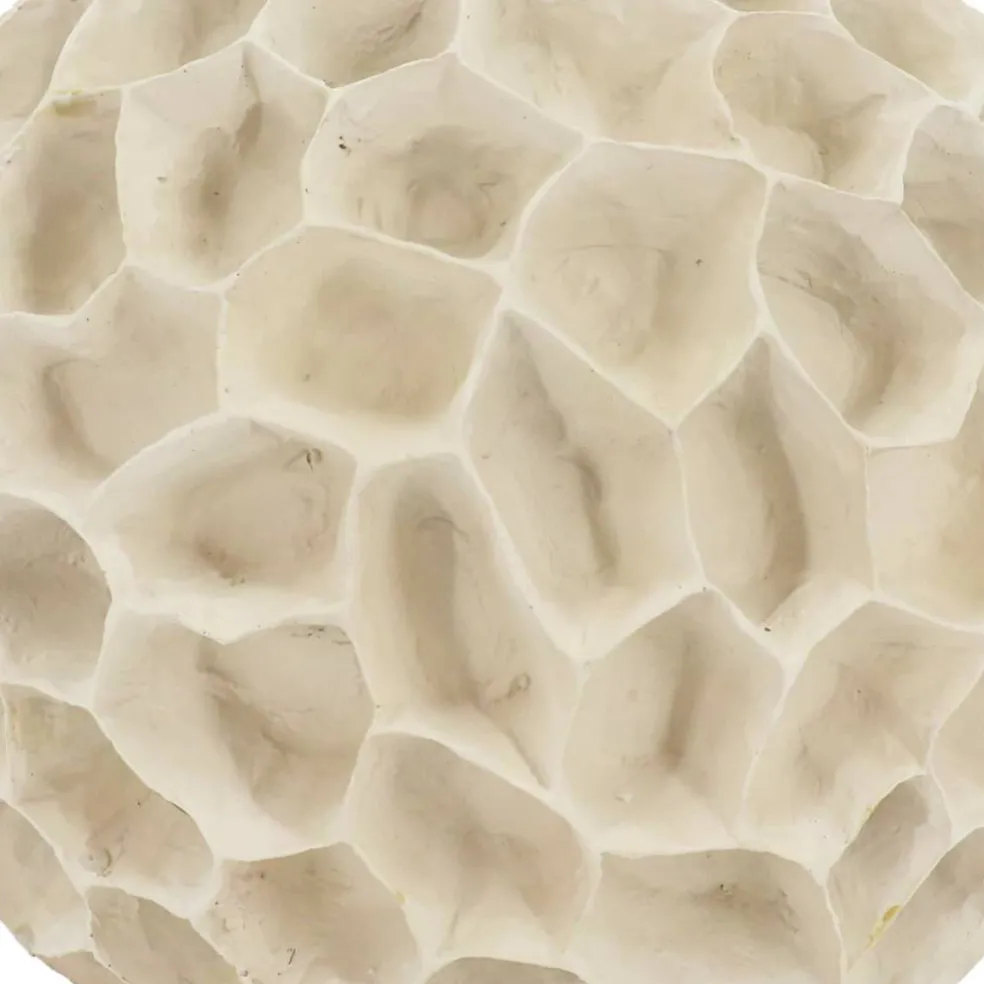 Coral Tabletop Décor by Ashland®