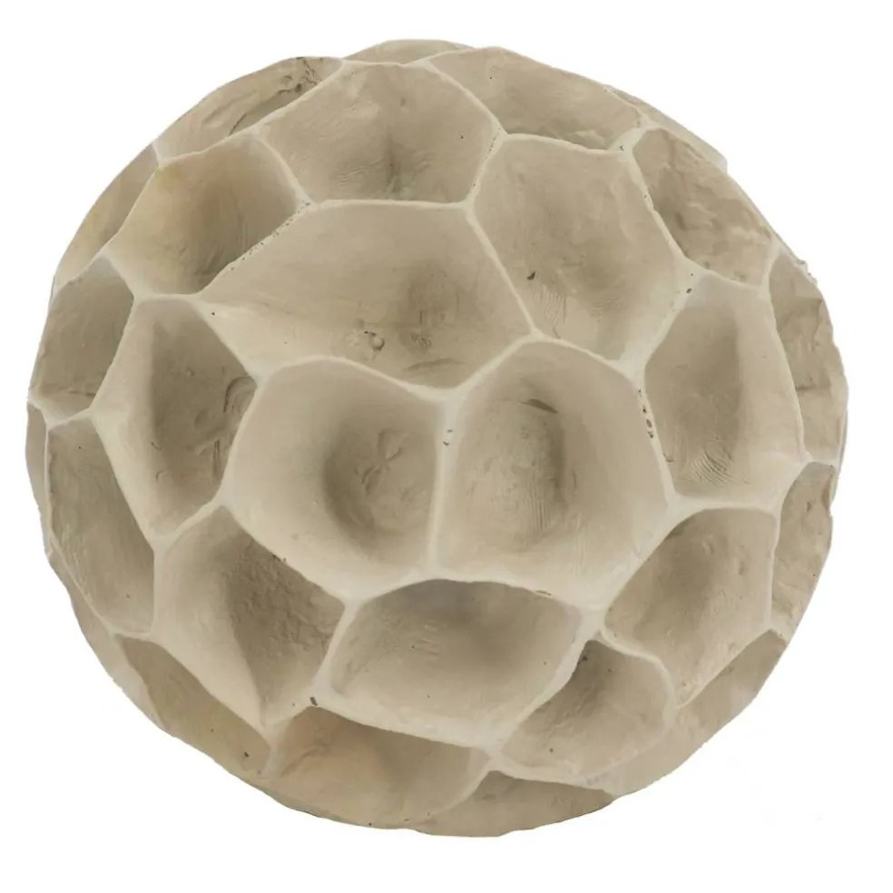 Coral Tabletop Décor by Ashland®