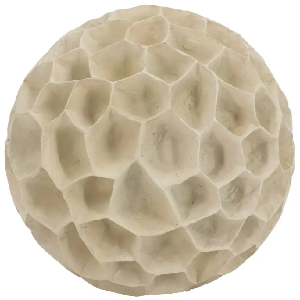 Coral Tabletop Décor by Ashland®