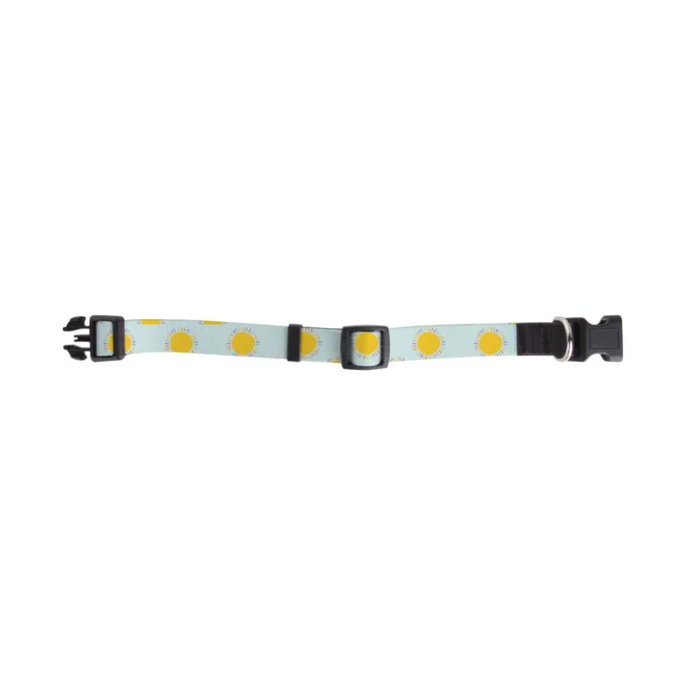Craft Express 4ct. Sublimation Dog Collars