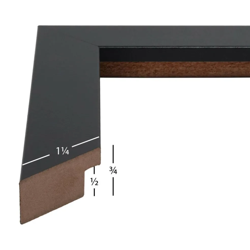 Craig Frames Bauhaus Mystic Satin Black Picture Frame