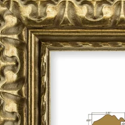 Craig Frames Bravada Ornate Bronze Picture Frame