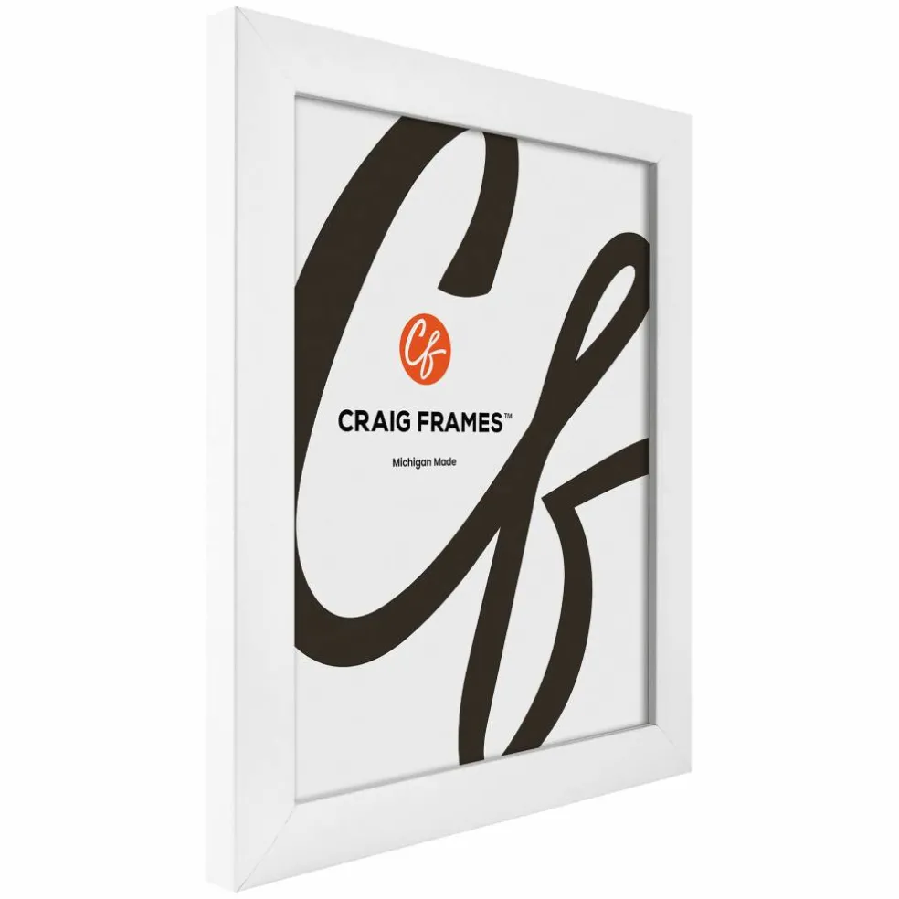 Craig Frames Contemporary White Satin Picture Frame with Mat