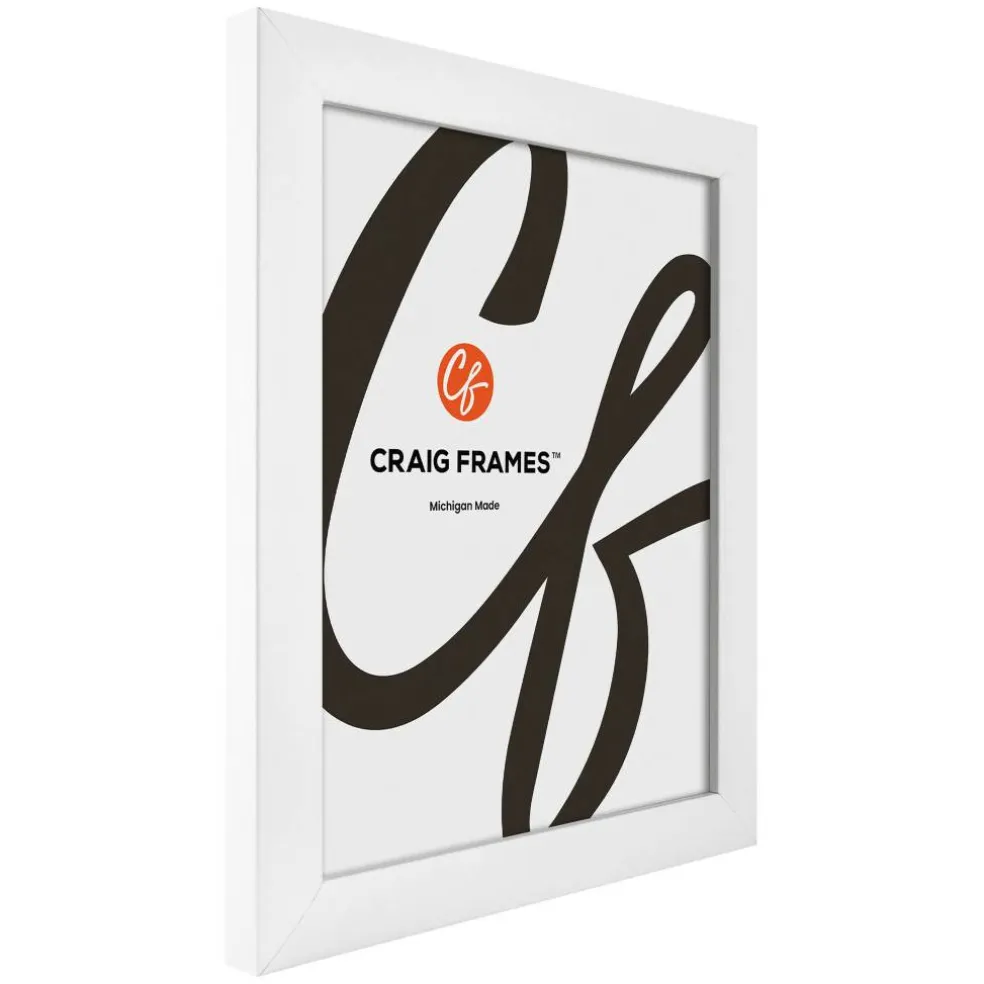 Craig Frames Contemporary White Satin Picture Frame with Mat
