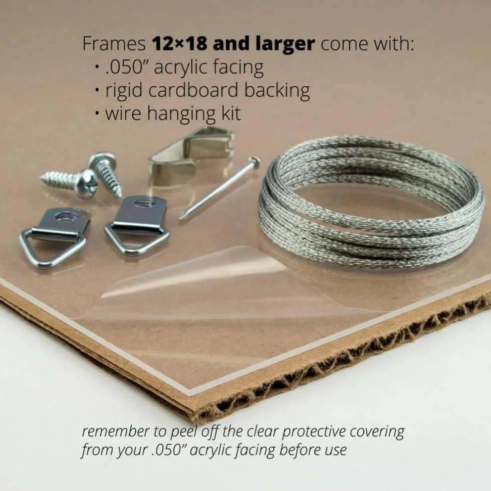 Craig Frames Essentials Gold Picture Frame